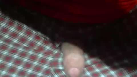 Snapshot of beer27 chatting on February 5, 12:48 am Reservoir Dogs online show from February 5, 12:48 am