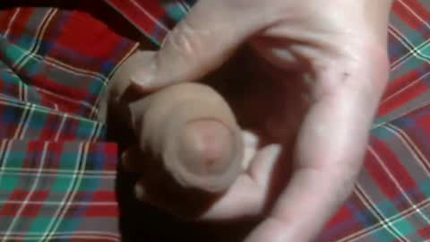 Snapshot of beer27 chatting on March 2, 4:36 am Reservoir Dogs online show from March 2, 4:36 am