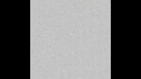 Zia online show from January 13, 12:09 am