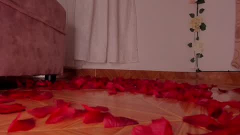 Dessi  online show from February 8, 12:17 am