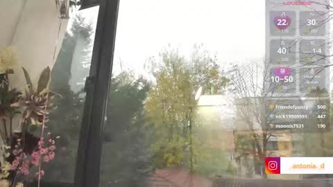 bella_posh online show from November 27, 6:15 am