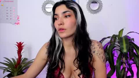 Bella online show from February 2, 8:41 pm