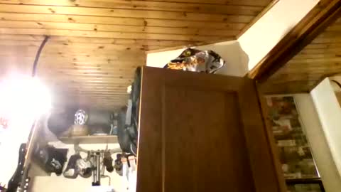 Snapshot of bernichaos77 chatting on February 21, 2:34 am bernichaos77 online show from February 21, 2:34 am