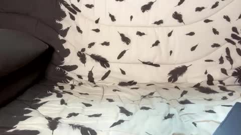 betterthanmen online show from February 13, 8:17 am