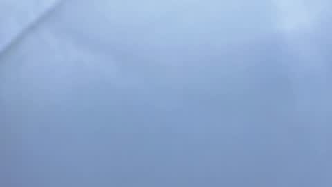 Betty online show from November 6, 2:07 pm