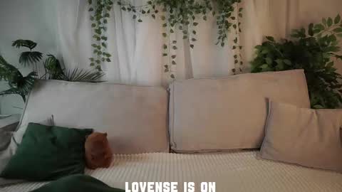 Eliz online show from December 4, 1:04 am