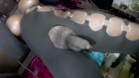 big_trans online show from January 14, 5:18 pm