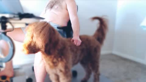 Snapshot of bigbadwolfbulge chatting on February 25, 5:00 pm Alcide Herveaux online show from February 25, 5:00 pm