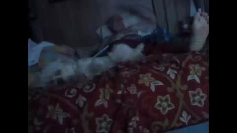 Snapshot of bigbenidick1 chatting on October 20, 1:28 am BB online show from October 20, 1:28 am