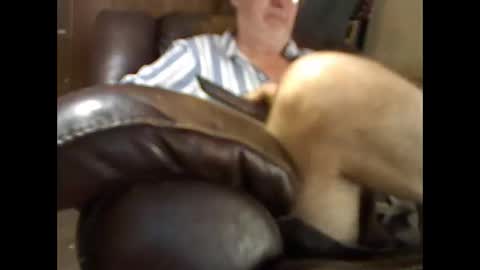 BB online show from November 26, 4:41 pm