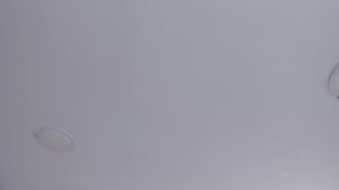   online show from October 8, 9:07 am