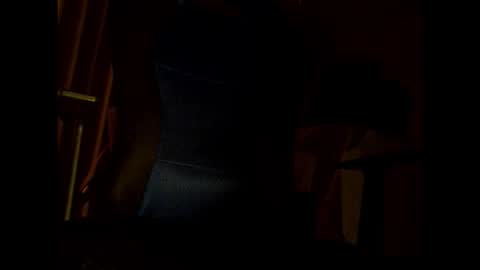 Snapshot of bigbro0007 chatting on November 25, 7:03 pm bigbro0007 online show from November 25, 7:03 pm