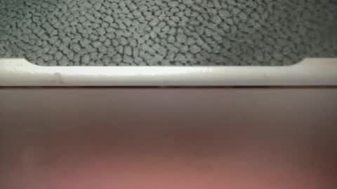 bigcocksuckingslut online show from February 2, 5:26 pm