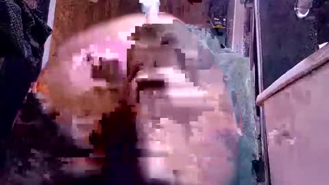 bigdog9thick online show from December 6, 10:05 am