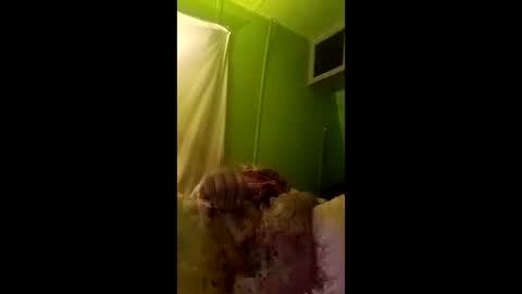 bigdog9thick online show from April 29, 7:23 am