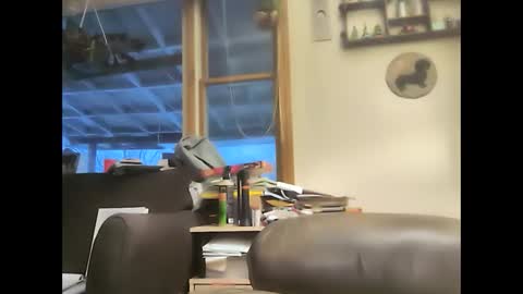 bigelectricrod online show from February 1, 11:54 am