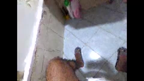 bighdasehzada online show from April 19, 8:24 am