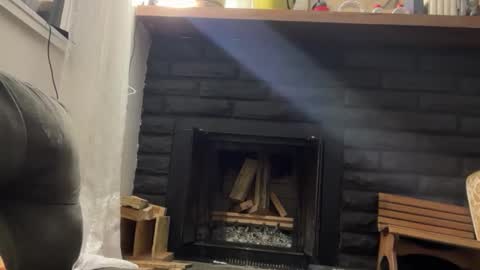 Daniel  Noelia online show from November 17, 11:38 am