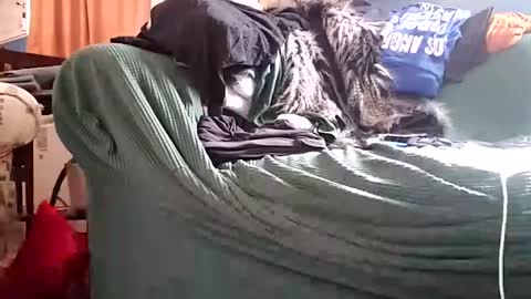 bigmanaround9 online show from December 11, 8:39 pm