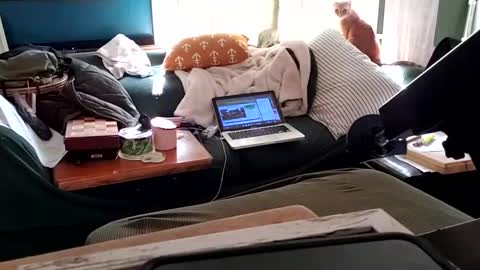 bigmanaround9 online show from February 3, 9:07 pm