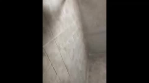 Snapshot of bignastyfilthy chatting on September 30, 2:38 am bignastyfilthy online show from September 30, 2:38 am