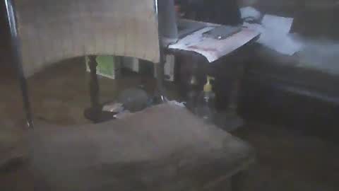 bigpenix online show from January 15, 2:06 am