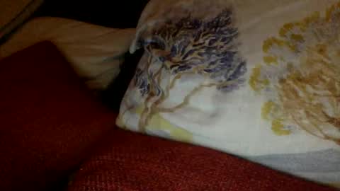 Snapshot of bigvic25cm chatting on March 1, 7:04 pm bigvic25cm online show from March 1, 7:04 pm