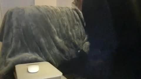 Snapshot of bigwhitedickdaddy69 chatting on February 16, 11:50 am Bigwhitedickdaddy and BabyCakes online show from February 16, 11:50 am