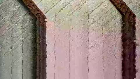 bigwytecock1979 online show from December 24, 4:30 pm