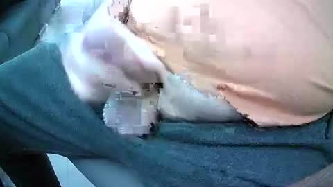 bikeman17 online show from October 4, 8:45 am