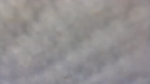 billmenow141 online show from February 11, 10:04 am