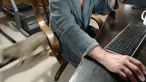 billy471 online show from February 23, 10:28 am