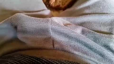 pocolococo online show from March 23, 8:51 am