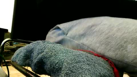 blackriches96 online show from February 21, 3:21 pm