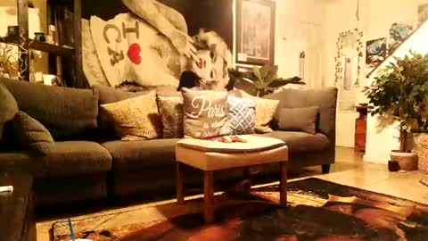 blackriches96 online show from February 14, 8:33 am