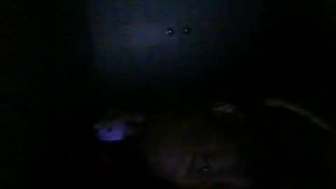 blackteddybear online show from February 23, 8:55 am