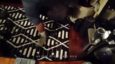 Blackjag00 online show from February 18, 6:15 am