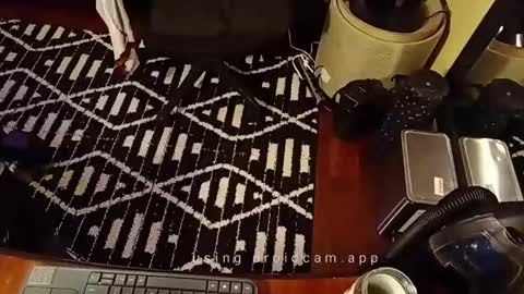 Blackjag00 online show from February 19, 7:06 am