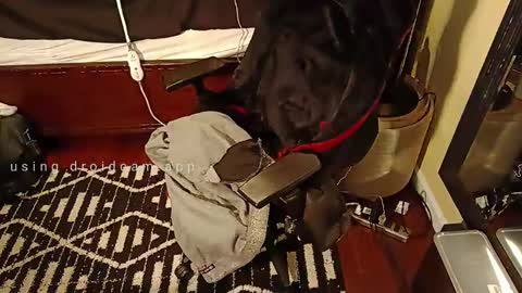 Blackjag00 online show from March 5, 9:26 pm