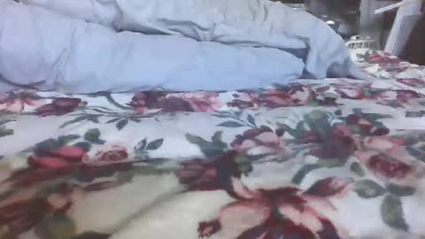 blame1269 online show from October 27, 7:07 pm