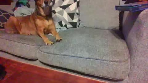 blaw_1321 online show from November 14, 8:57 am