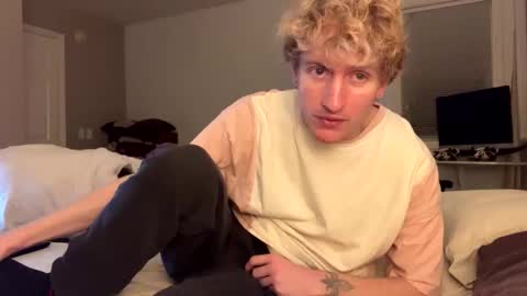 Blondie online show from November 21, 7:18 am