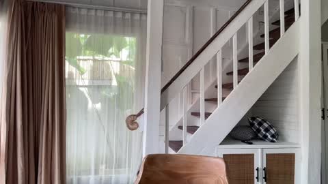 Snapshot of bloomyogi chatting on January 14, 2:17 am Emma Bloom online show from January 14, 2:17 am