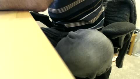 bobbuild online show from March 30, 8:26 am