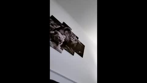 bobby160968 online show from January 8, 6:43 pm