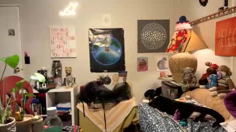 bobbyq2969 online show from November 13, 3:38 am