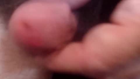 bobswan online show from October 21, 6:52 pm