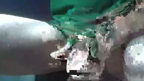 Snapshot of bogey58 chatting on December 8, 2:09 pm bogey58 online show from December 8, 2:09 pm