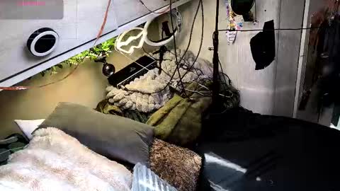 Bonnie and Clyde online show from March 9, 12:31 pm