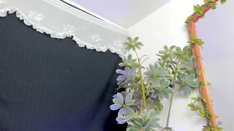   online show from March 21, 12:15 am